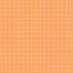 Painted Check in Apricot