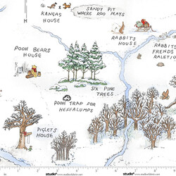 Frosted Acre Wood in Snow