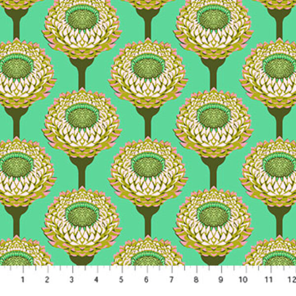 Strawflower in Aqua