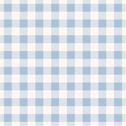 Sweet Gingham in Sky Blue