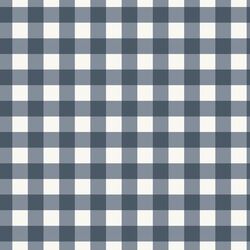 Little Gingham in Country Blue