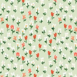 Poppy Meadow in Grassy