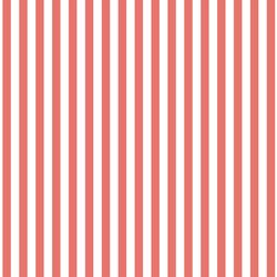 Dress Stripe in Living Coral
