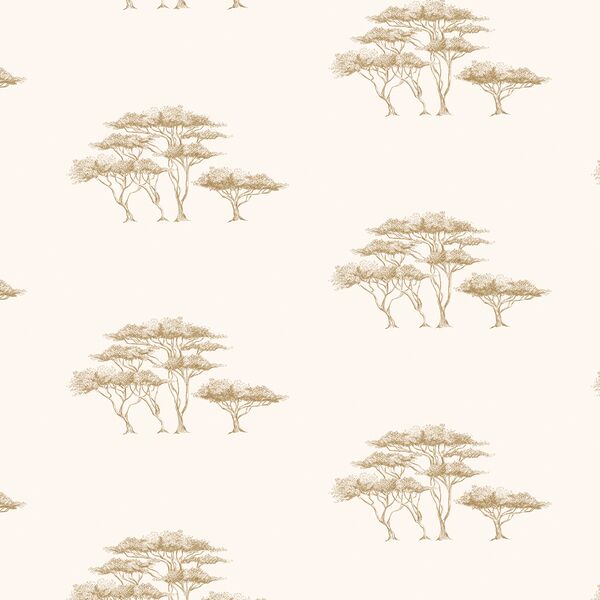 Under the Acacias in Bushveld