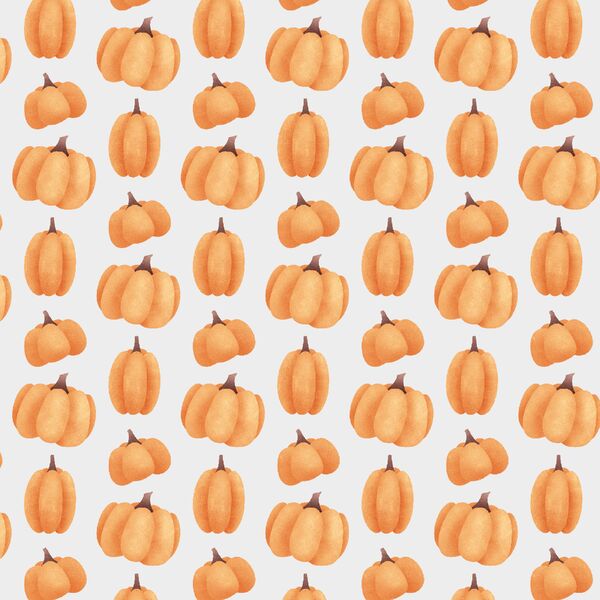 Pumpkin Patch in Fall