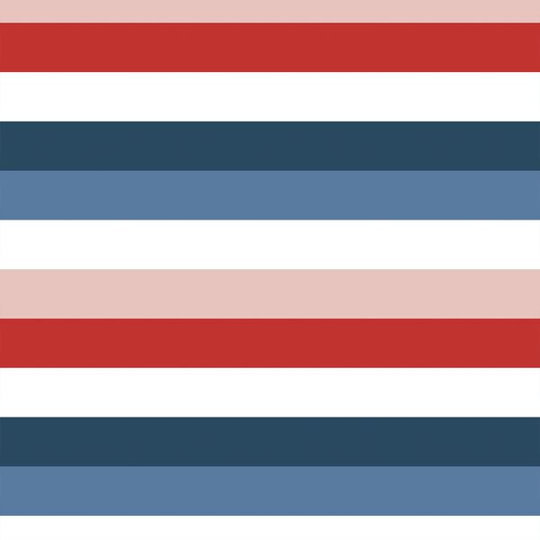 Large Rainbow Stripe in Liberty