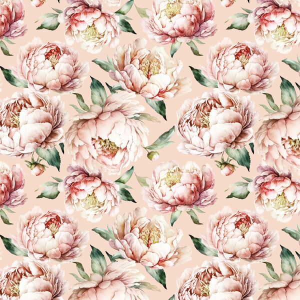 Peony Lane in Shell