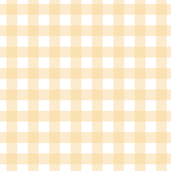 Gingham in Sunbeam
