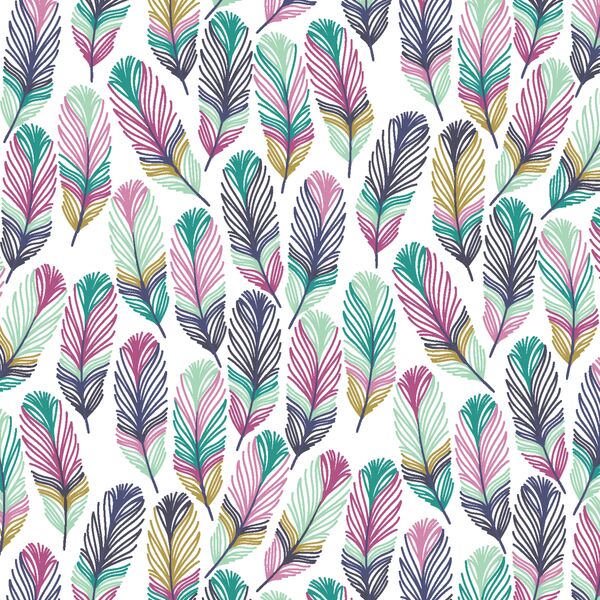 Feathers in Pura Vida
