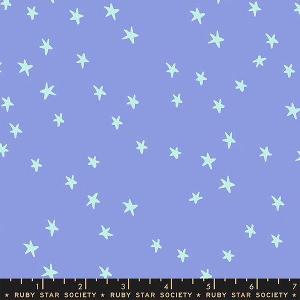 Starry in Dusk