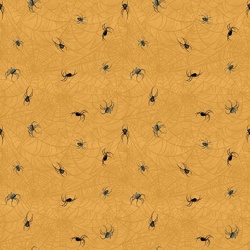Spiders in Pumpkin