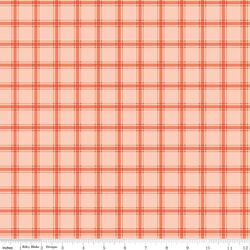 Gingham in Peaches 