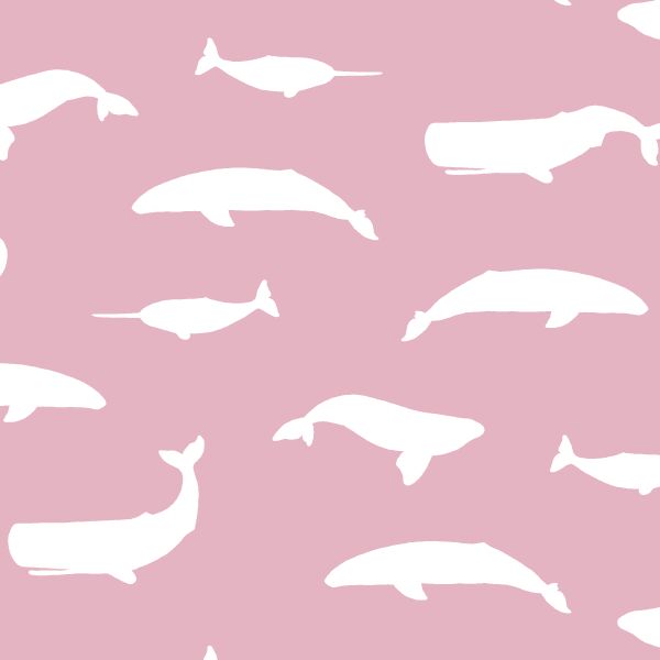 Whale Silhouette in Carnation