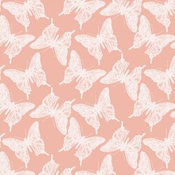 Butterflies in Pink Glow