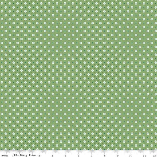 Vera in Basil