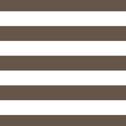 Horizontal Play Stripe in Timber