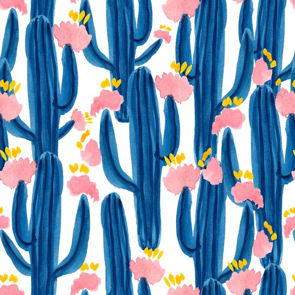Big Cactus Dreams in Sonoran