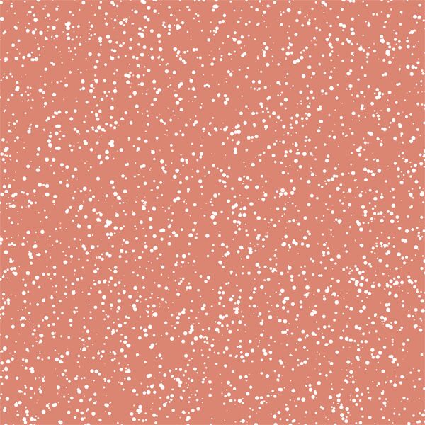 Stardust in Desert Rose