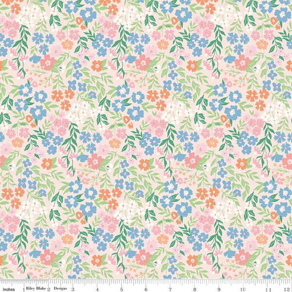 Meadow in Ballerina