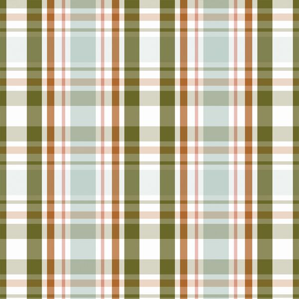 Winter Plaid in Cozy