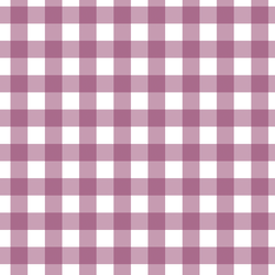 Gingham in Raspberry Sherbet
