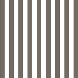 Candy Stripe in Stone