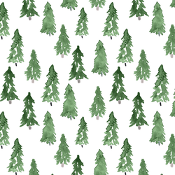Snowy Pine in Winter