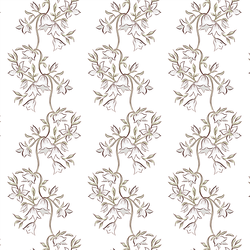 Snowdrop in Spring