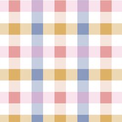 Rainbow Gingham in Pansy Fields