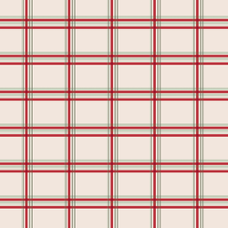 Winter Plaid in Holiday