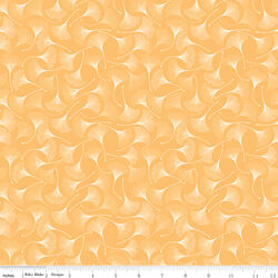 Ginkgos in Daisy