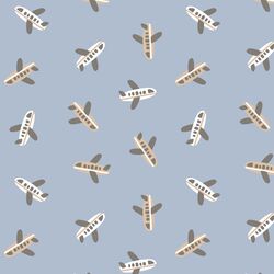 Planes in Evening Sky