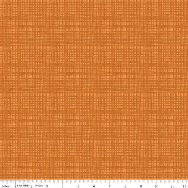 Texture in Pumpkin