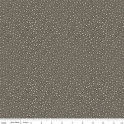 Evergreen in Gray