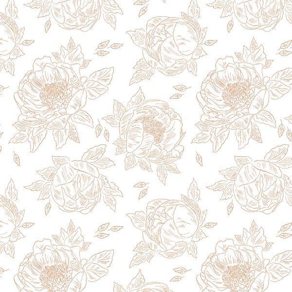Sketched Peony in Golden Road on White