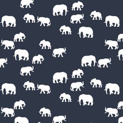 Elephant Silhouette in Eclipse