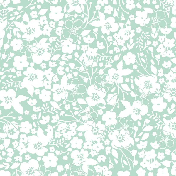 Forget Me Not in Mint