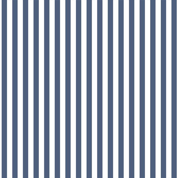 Dress Stripe in Midnight