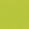 Artisan Cotton Yarn-Dye in Apple Green Chartreuse