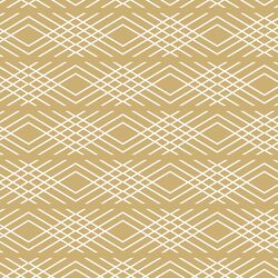 Washi in Golden Canyon