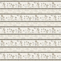 Border Stripe in Multi