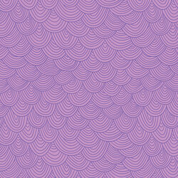 Scallop in Orchid