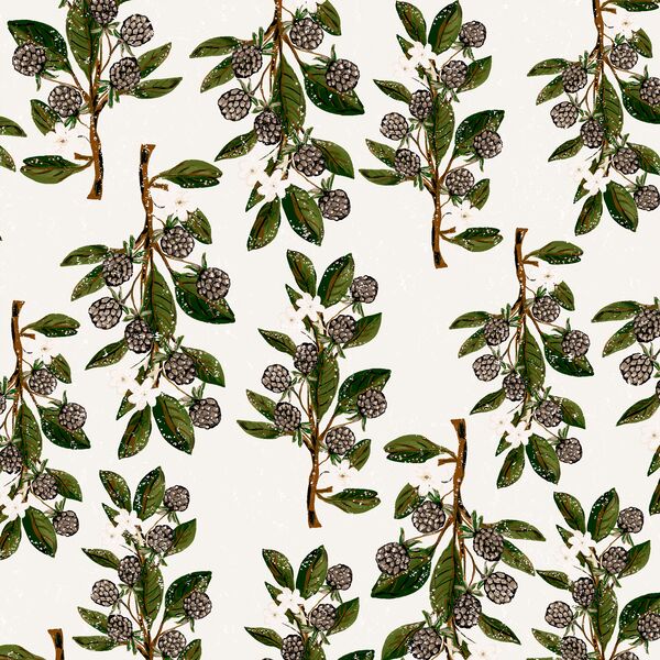 Large Blackberry Branches in Milk