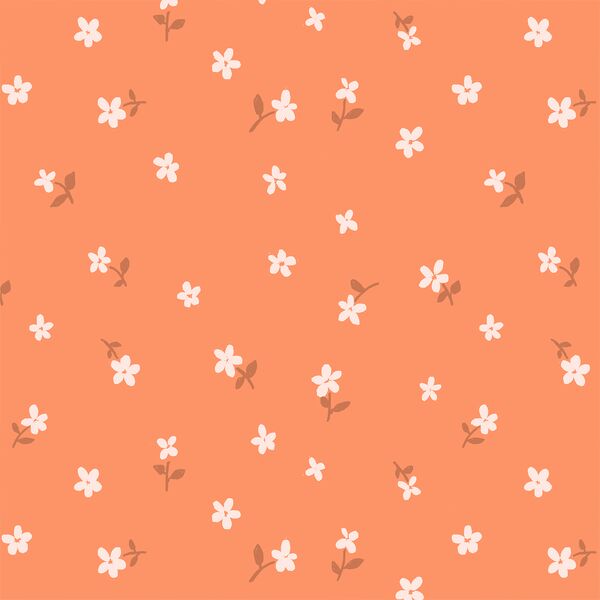 Daisy in Apricot