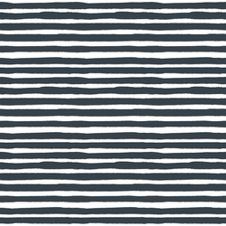 Painted Stripe in Midnight Sky