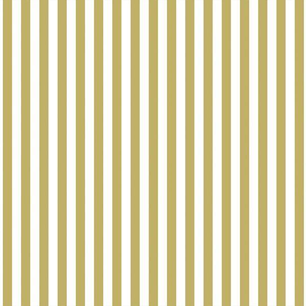 Dress Stripe in Brass