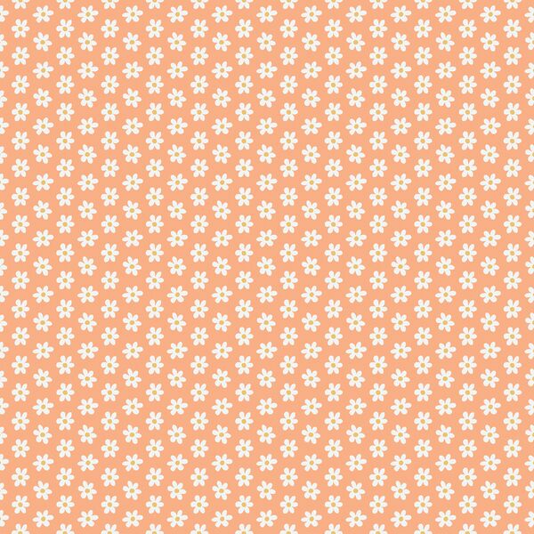 Little Spring Daisies in Carrot