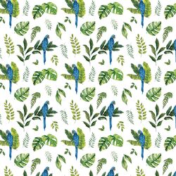 Little Jungle Macaw in White