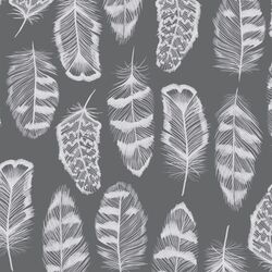 Plume in Charcoal