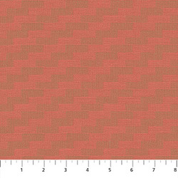 Steps in Coral